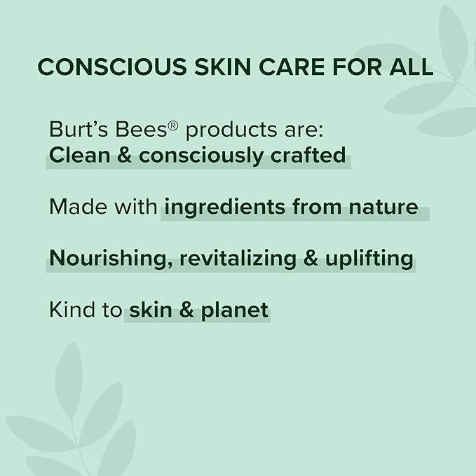 Burt's Bees Chai Tea Lip Balm Blister, 0.15 Ounce