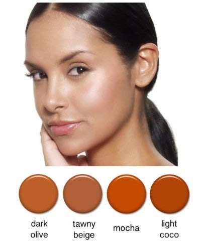 Airbrush Makeup - Foundation 1/2oz Bottle Choose Color (Ebony)