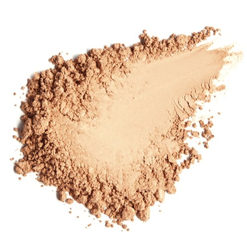 Palladio Dual Wet and Dry Foundation Refill Pan with Sponge, Squalane Infused, Apply Wet for Maximum Coverage or Dry for Light Finishing and Touchup, Minimize Fine Lines, All day Wear (EVERLASTING TAN)