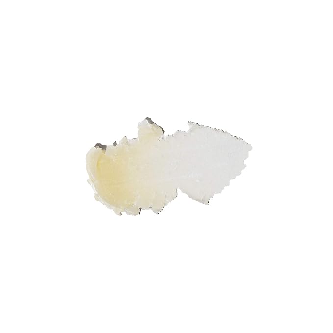 Sun Bum Piña Colada Cocobalm | Hydrating Lip Balm with Aloe | Hypoallergenic, Paraben Free, Silicone Free, | 0.15oz Stick (20-48058)