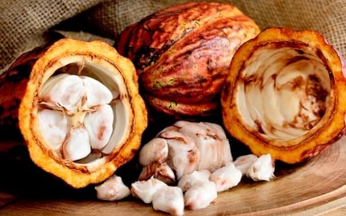 Cocoa Butter for Skin Care, Moisturizing and Nourishing, 1 Ounce (Pack of 1)
