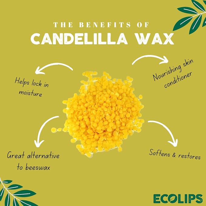 Eco Lips Bee Free Variety Pack Vegan Lip Balm | Candelilla Wax, Cocoa Butter & Coconut Oil Lip Care. Soothe & Moisturize Dry, Chapped Lips - 100% Plastic-Free Plant Pod Packaging - Made in USA