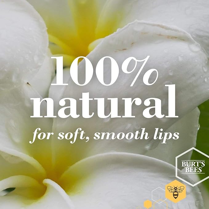 Burt's Bees 100% Natural Moisturizing Lip Balm, Vanilla Bean - 4 Tubes