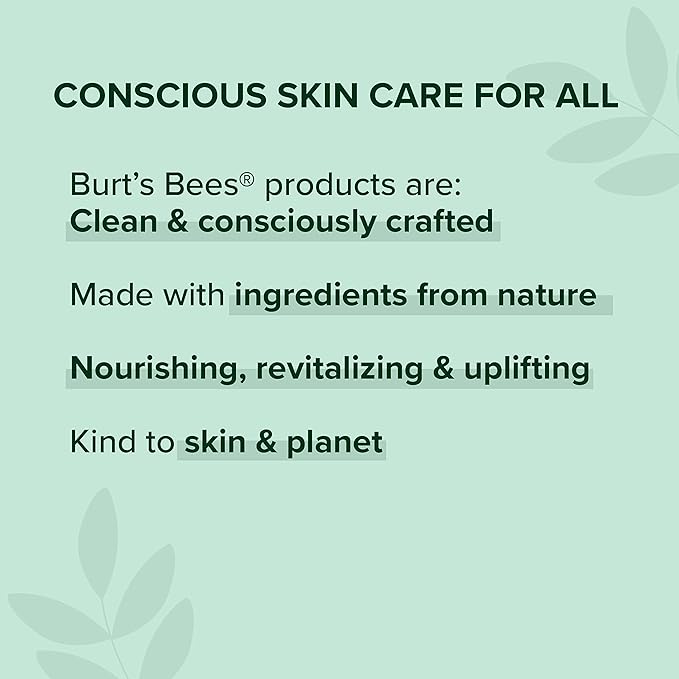 Burt's Bees All Weather SPF 15 Lip Balm, Water-Resistant Lip Moisturizer, Tint-Free, Natural Conditioning Lip Treatment, 1 Tube, 0.15 oz.