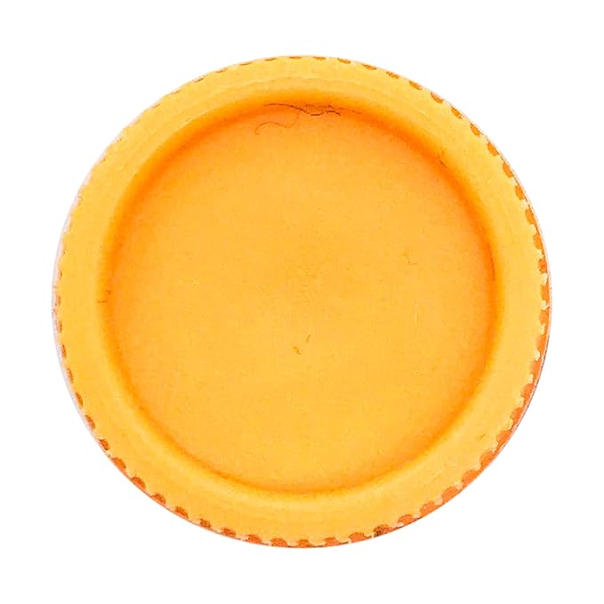 Burts Bees Salted Carmel Lip Balm, 1 EA