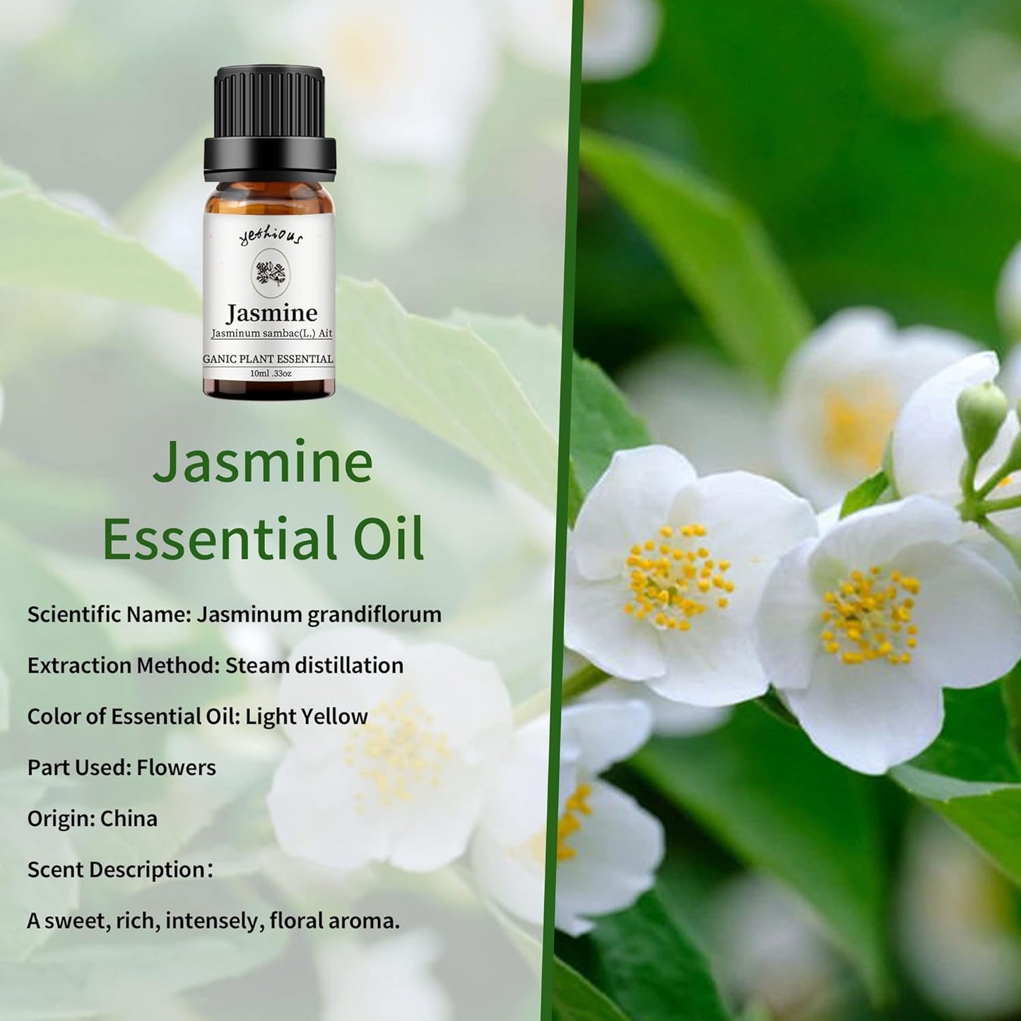yethious Jasmine Sandalwood Essential Oil 100% Pure Organic Essential Oil Set for Aromatherapy Diffuser, Soap, Candle Making