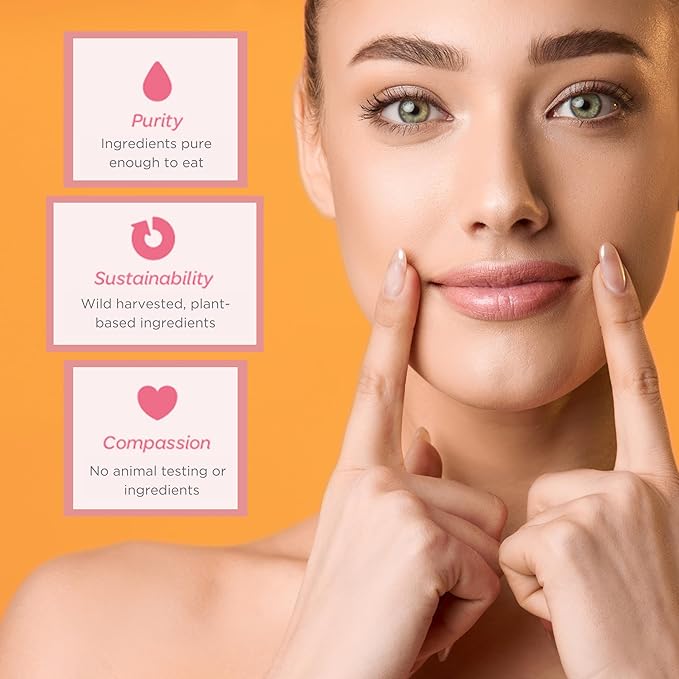 Natural Lip Butter Lip Balm - Ginger Lemon - Pure Enough to Eat - Made With Just 6 Vegan Ingredients - 100% Natural & Organic Moisturizing Lip Care for All Day Hydration (4-Pack)